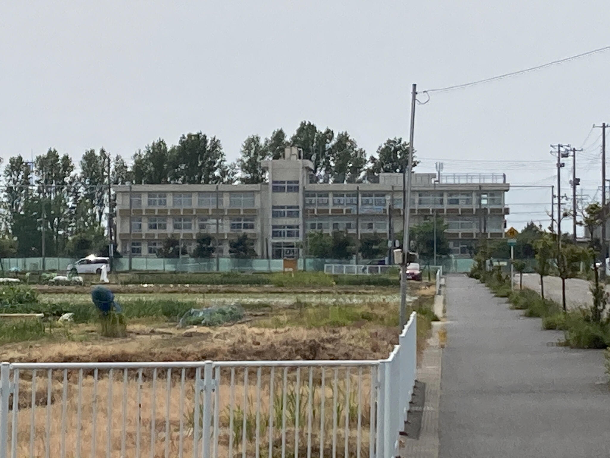 立仏小学校 